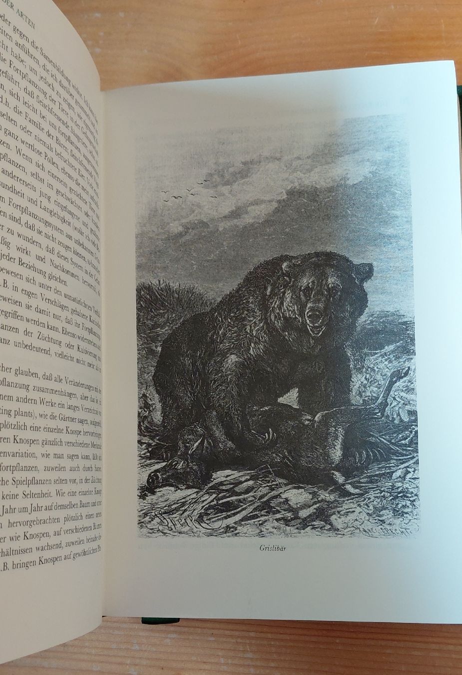 Libri: Charles Darwin - Entstehung der Arten - Franklin Bibliothek  – Usato da Trogen venduto da Limboo 2