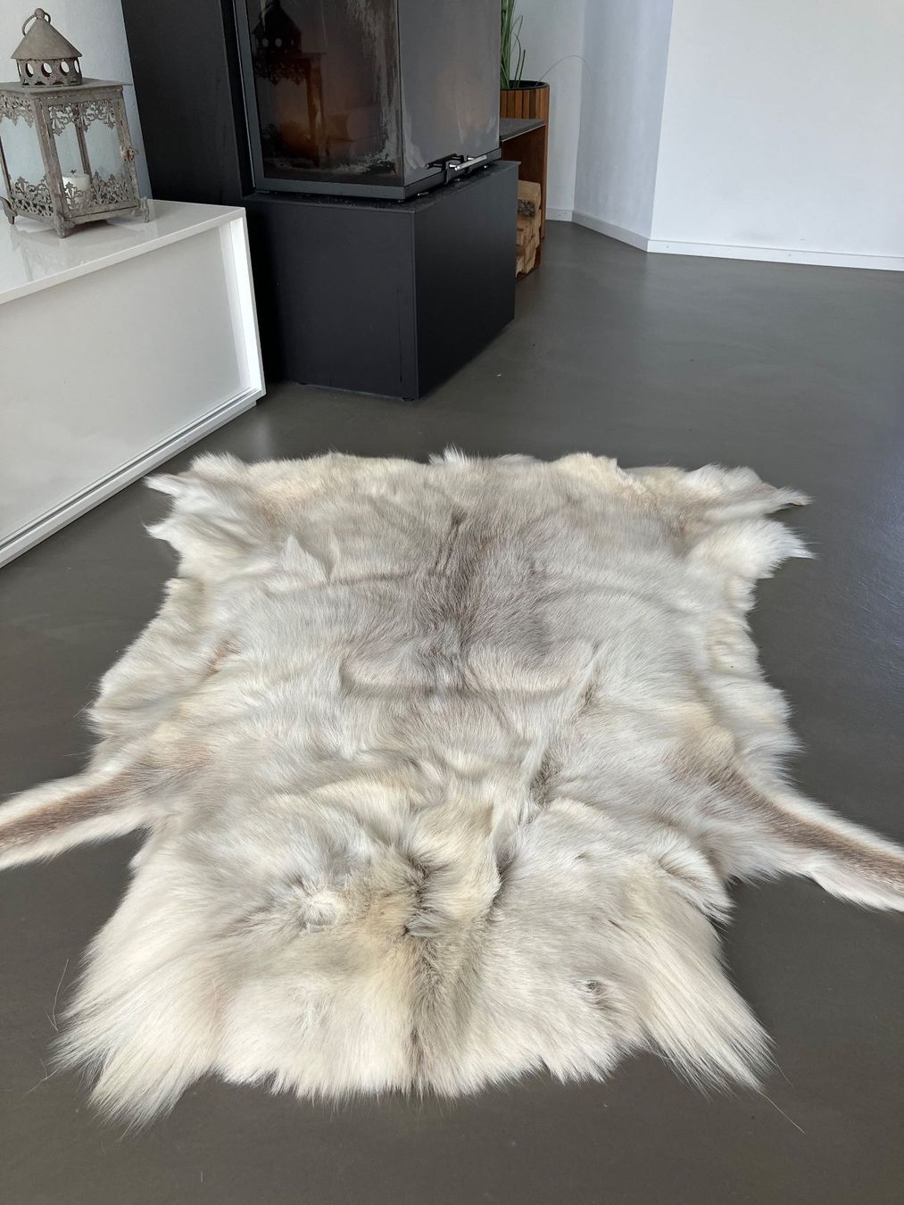 Tutte le decorazioni: Renntierfell, Wanddekoration – Usato da Männedorf venduto da lareina 2