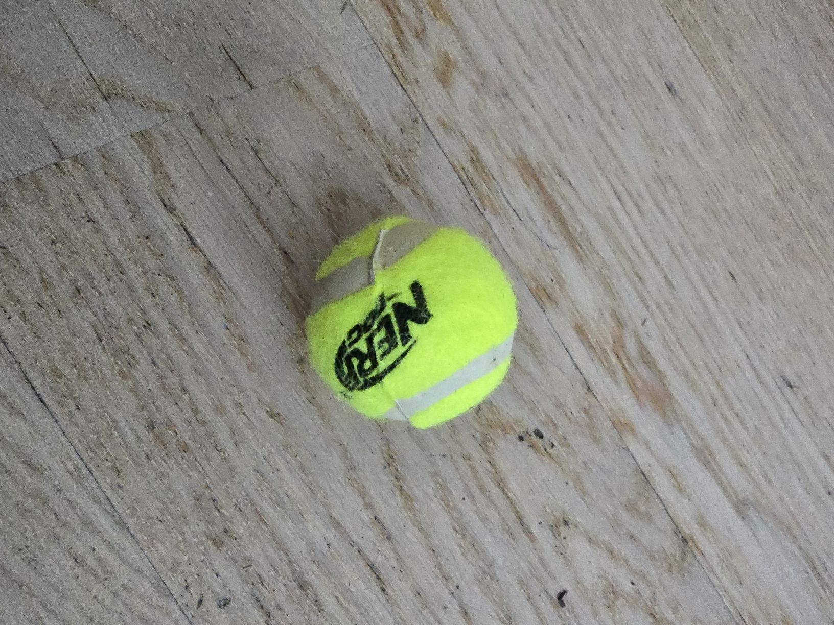 Spielzeuge: Hunde Spielball – Neu und originalverpackt aus Rickenbach b. Wil von Kth_v8