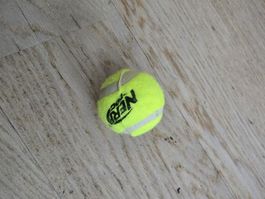 Hunde Spielball