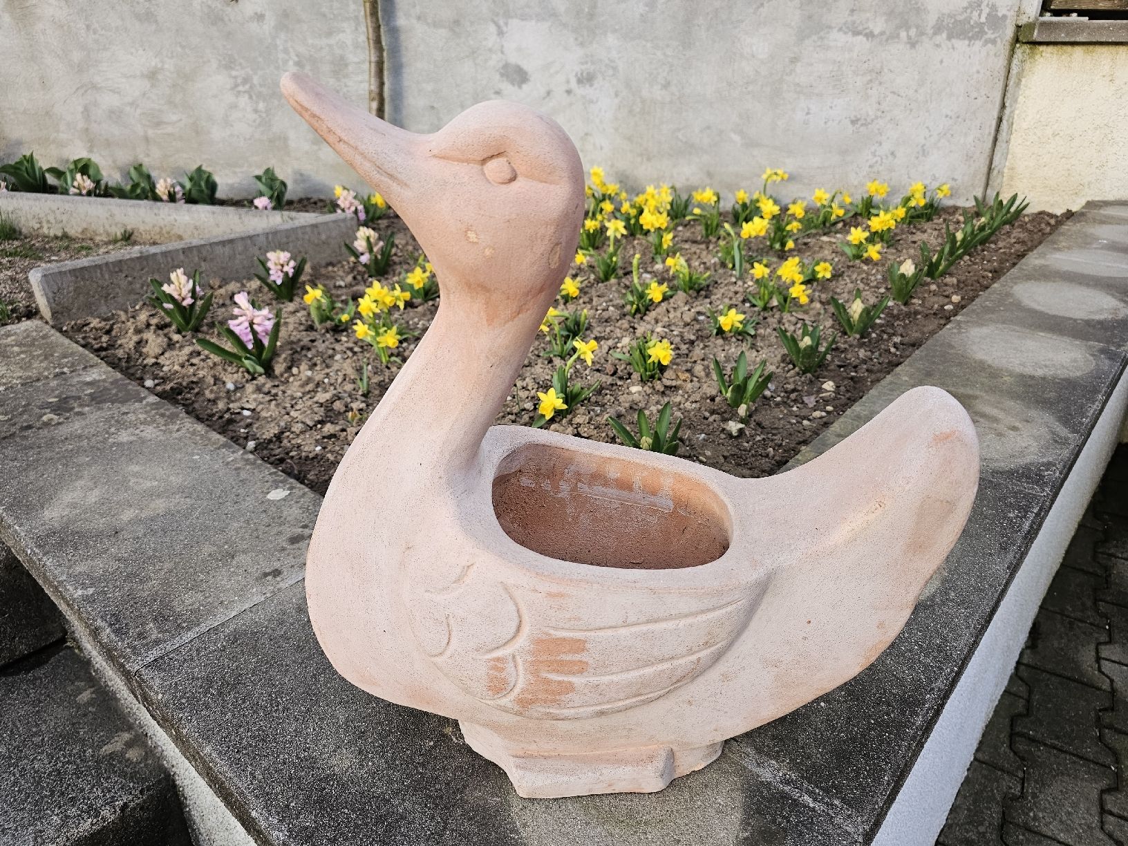 Vasi per fiori: Blumentopf Terracotta Schwan – Usato da Villnachern venduto da hasta08 5