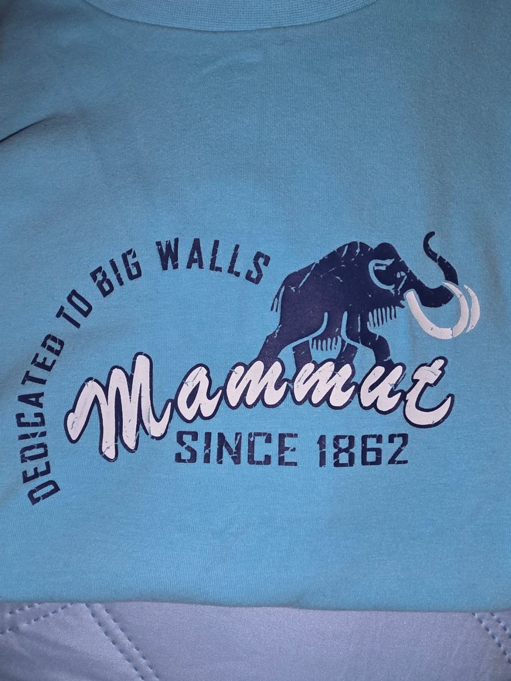 Mammut T-shirt: Mammut T-Shirts 2.Stück, Grösse S – Usato da Malix venduto da ric_nh2y 4