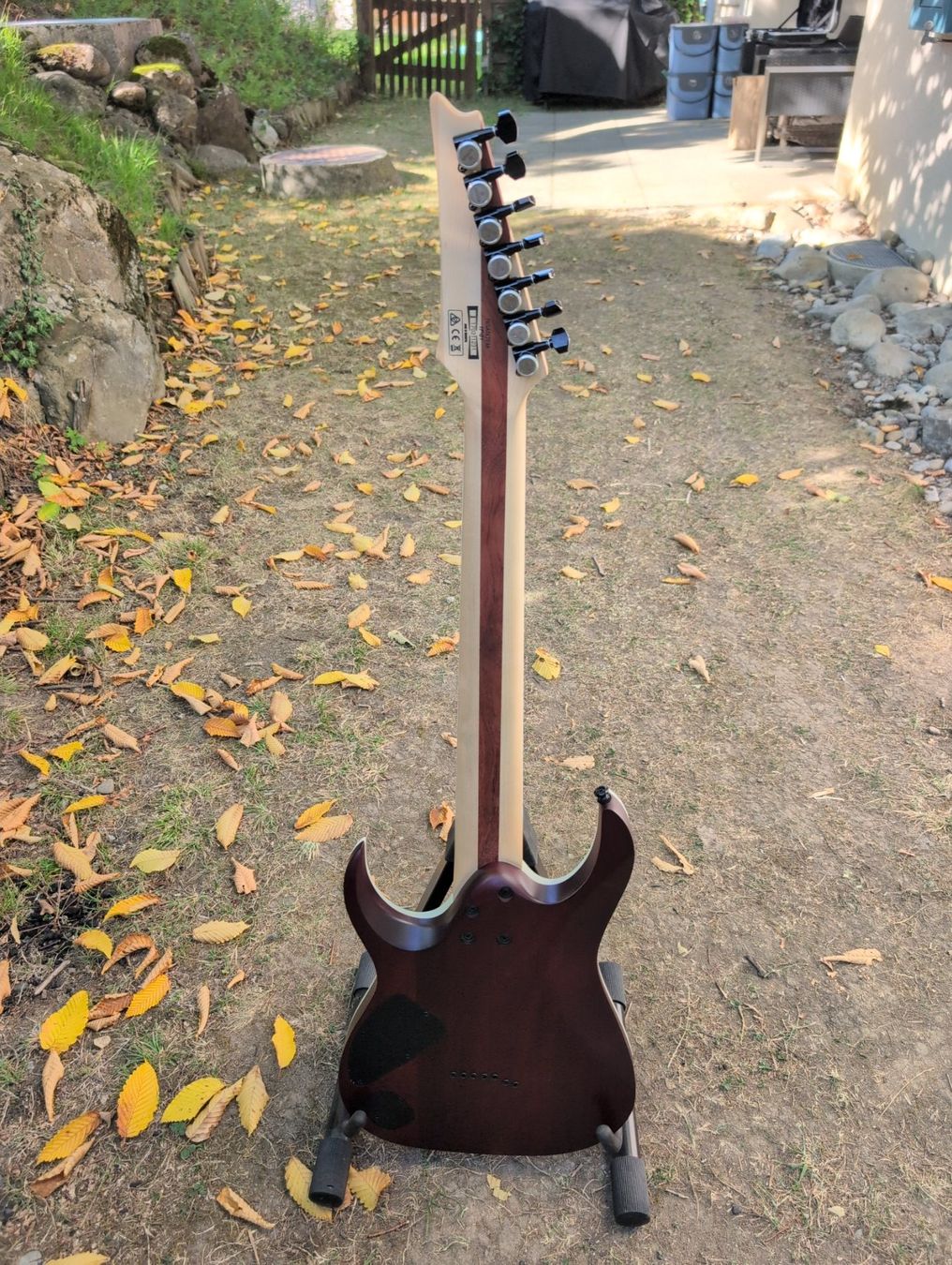 Strumenti musicali: Ibanez RGAIX7FM - TGF – Usato da Aesch ZH venduto da MauliTheCat 1