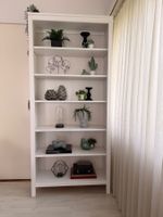 IKEA Bücherregal Weiss | Sehr gepflegt | 99 CHF