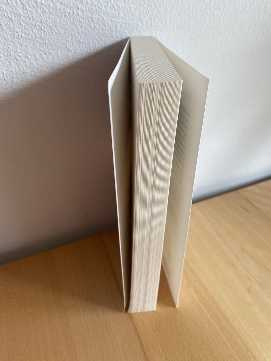 Bücher: Blutroter Rhein - Walter Millins  – Gebraucht aus Schwarzenburg von Michellu 3