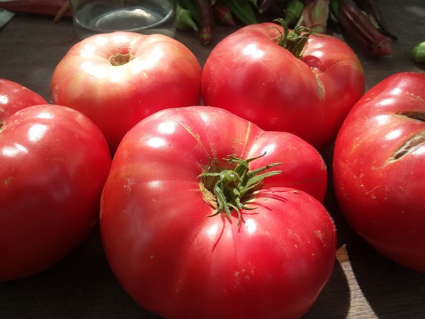 Piante & sementi: 50 Samen TOMATE BRANDYWINE  Alte Sorte – Nuovo (secondo la descrizione) da Ehrendingen venduto da VerveinaSamen 5