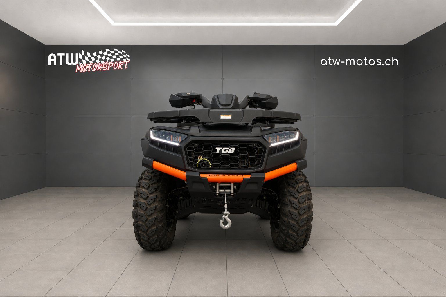 Tgb ATVs / Quads: TGB Blade 600 FL SE EPS Touring – Neu (gemäss Beschreibung) aus Wängi von atw-9545 6