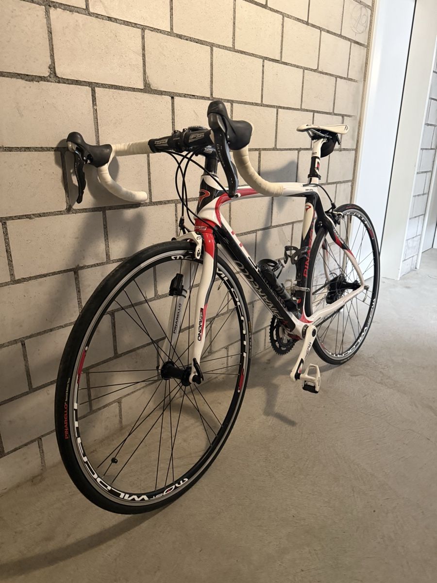 Pinarello Biciclette: Pinarello FP 3 ( Carbon) – Usato da Laax GR venduto da frederickiliano 4
