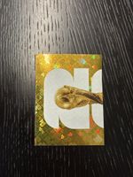 Panini FIFA World Cup 2026. Spezialkarte FWC 1