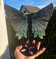 🦋🌿 Ozeanjaspis Schmetterling auf Stand 🌿🦋