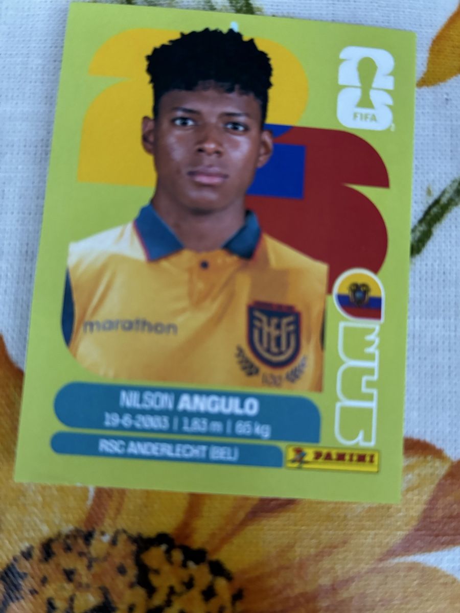 Panini Cartes à collectionner: FIFA World Cup 2026 Sticker Nilson Angulo ECU 17 Panini – D'occasion à Wettingen par ric_xm6x