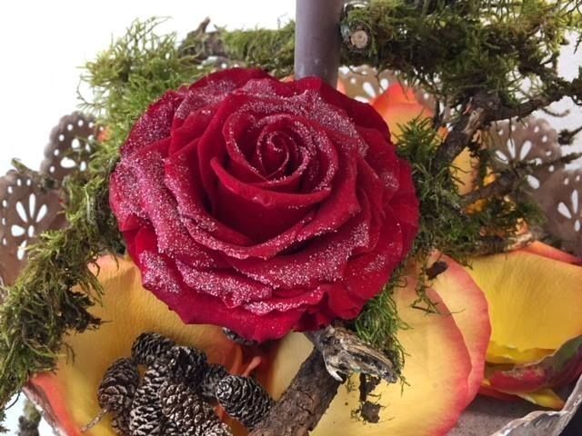 Tutte le decorazioni: Restposten Premium Deko-Rosen 6 Stk – Nuovo e nell'imballaggio originale da Seewen SZ venduto da pakosshop
