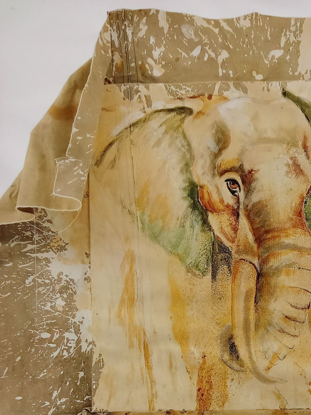 Foto & Immagini: Kunstdruck Elefant auf Plache gerahmt – Usato da Suhr venduto da Restwert_Suhr 2