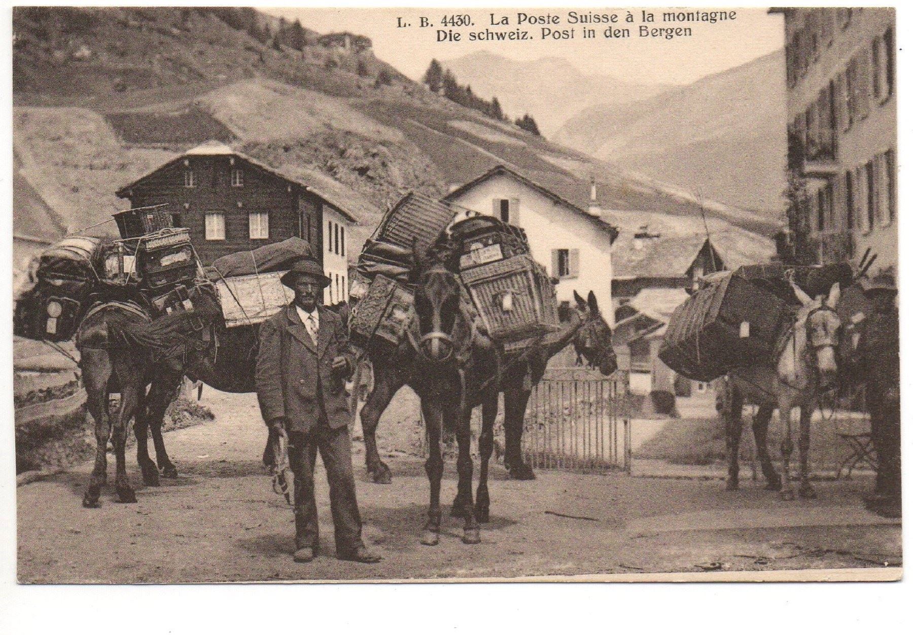 Ansichtskarten: Die schweiz. Maultier-POST in den Bergen – Neu (gemäss Beschreibung) aus Jona von philajona