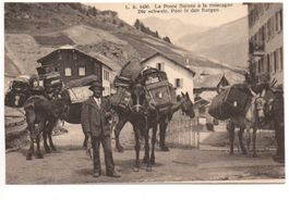 Die schweiz. Maultier-POST in den Bergen