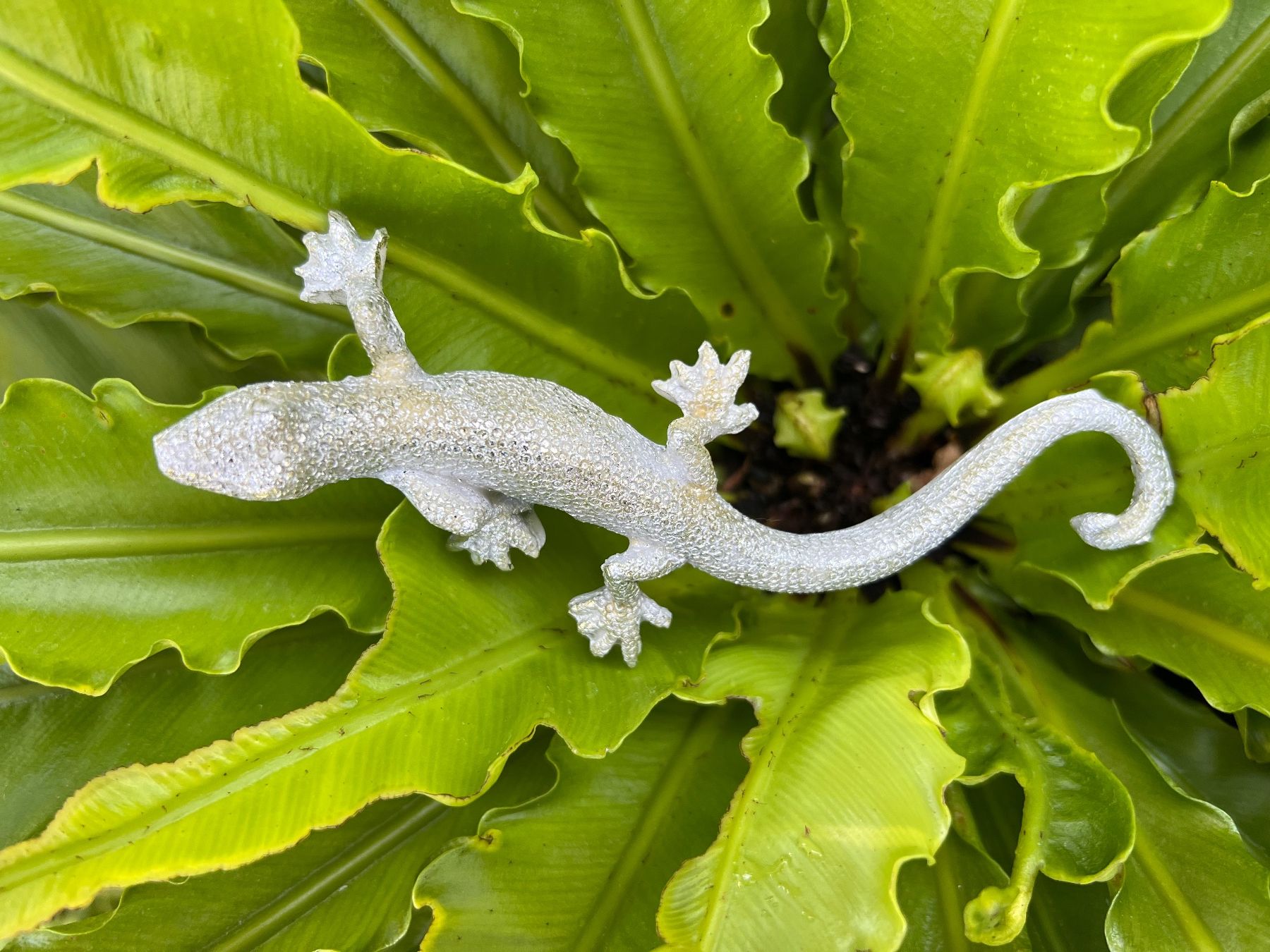 Tutte le decorazioni: 1 Gecco Salamander Deko mit Aufhänger – Nuovo (secondo la descrizione) da Bern venduto da FANTASTICTREASURES