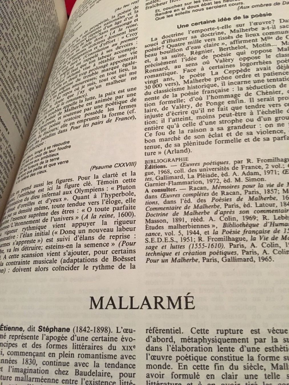 Libri: Dictionnaire litteratures françaises – Nuovo (secondo la descrizione) da Genève venduto da marygeneva 4