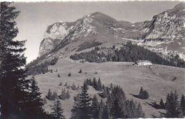 CHALET DU GROS PLANE, et le Moléson