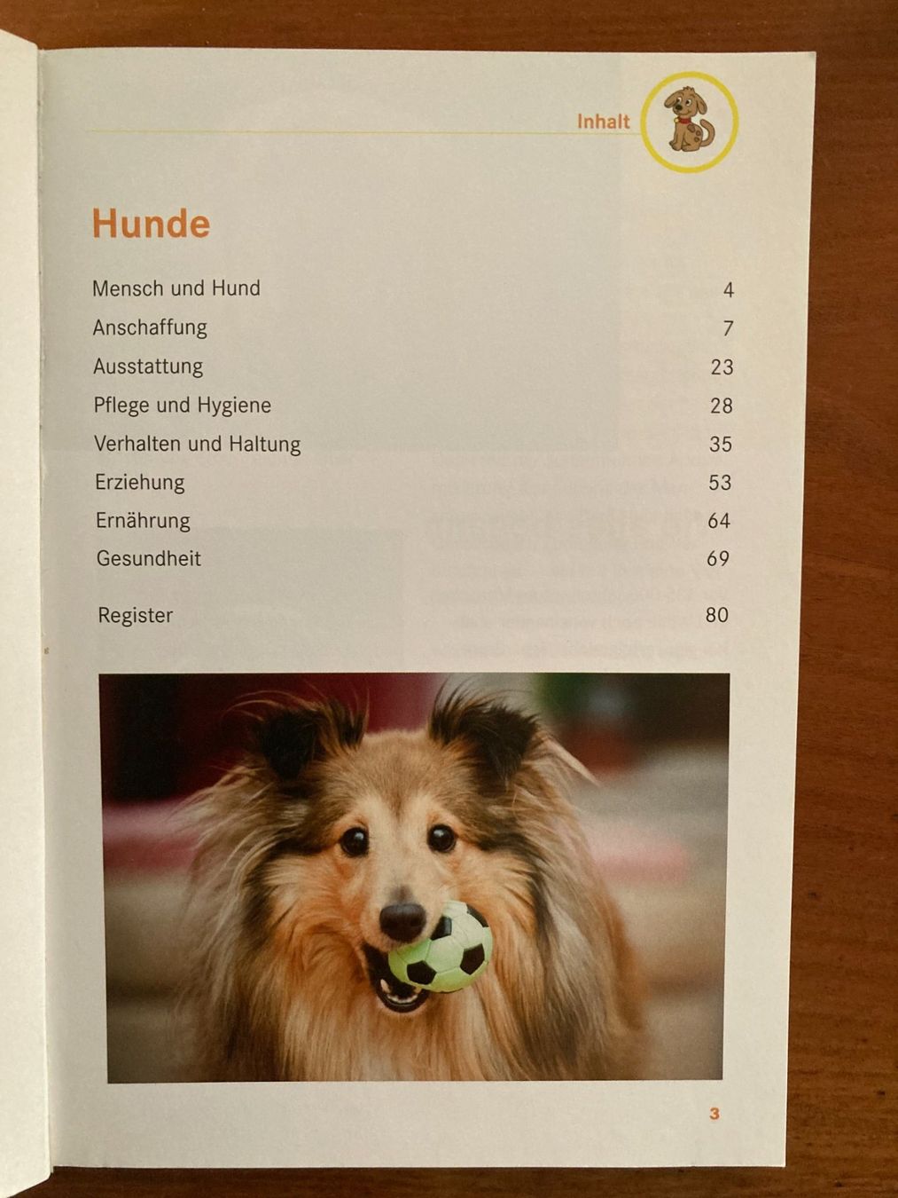 Libri: HUNDE   Sachbuch  von  Jennifer Willms – Usato da Subingen venduto da Etageren 3