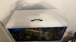 Ciano Aquarium 60 Liter mit Eheim Unterschrank