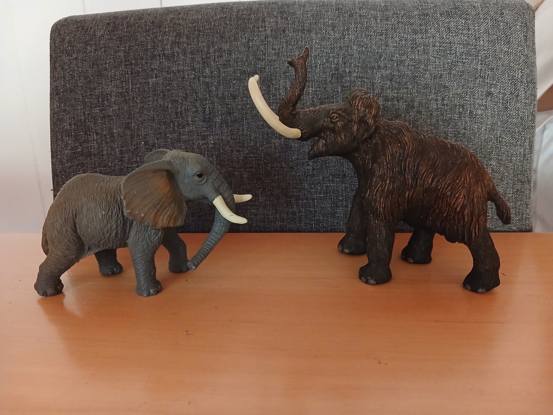 Giocattoli: Wilde Tiere Set – Usato da Reichenbach im Kandertal venduto da mucky66 1