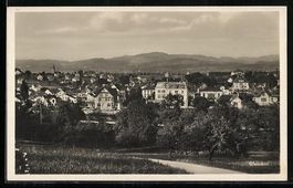 AK Wetzikon /ZH, Strasse zum Ort