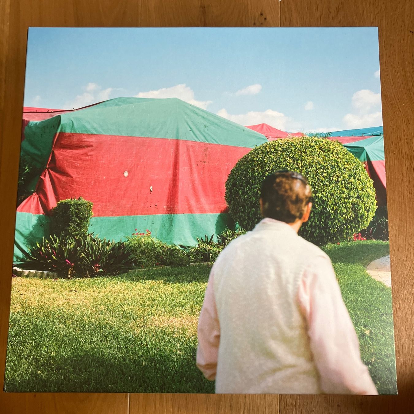 Vinyles: Blitzen Trapper – Holy Smokes Future Jokes – D'occasion à Altdorf UR par Metallic0