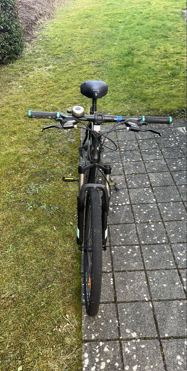Phoenix Biciclette: Phoenix Velo – Usato da Sarnen venduto da flo_25mp 1