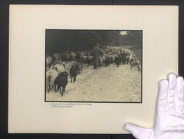 Fotografie Albin Müller, Hamburg, Lüne
