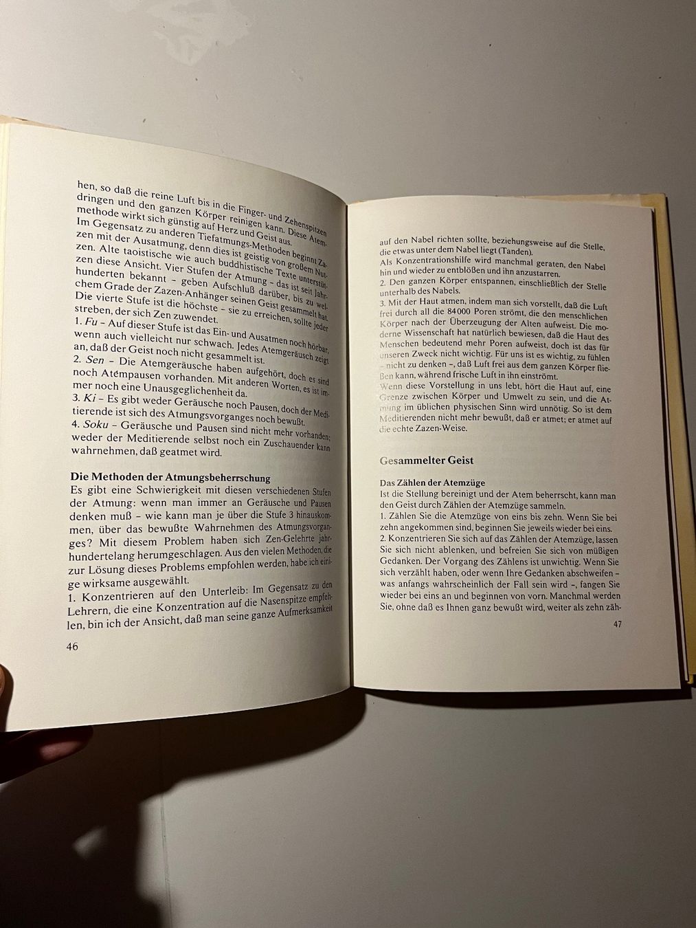 Libri: S. Sekiguchi: Was ist ZEN? – Usato da glattfelden venduto da kimiaxel 3