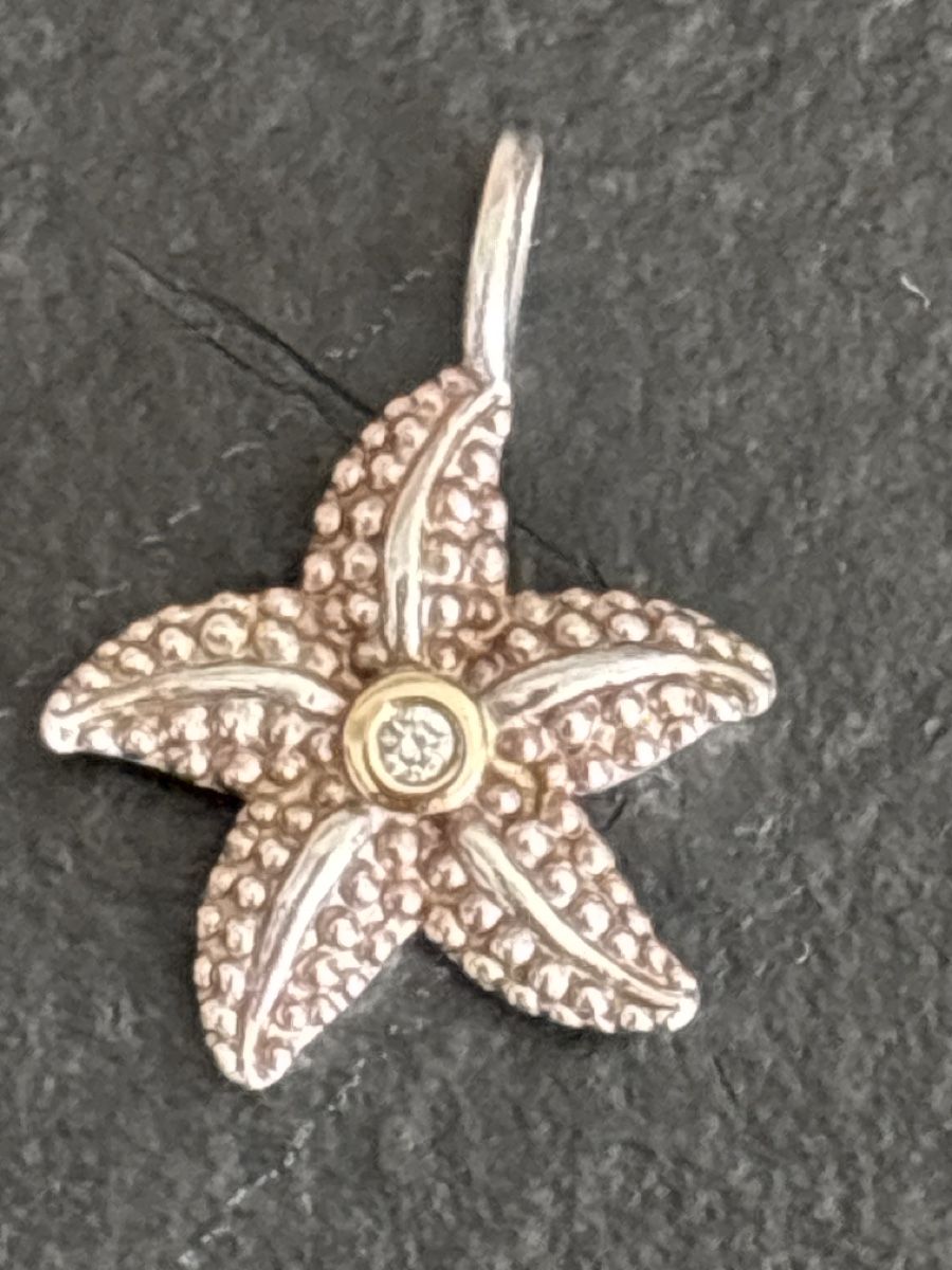 Thomas Sabo Ciondoli: Thomas Sabo Seastar Anhänger – Nuovo (secondo la descrizione) da Pratteln venduto da sab_whk9