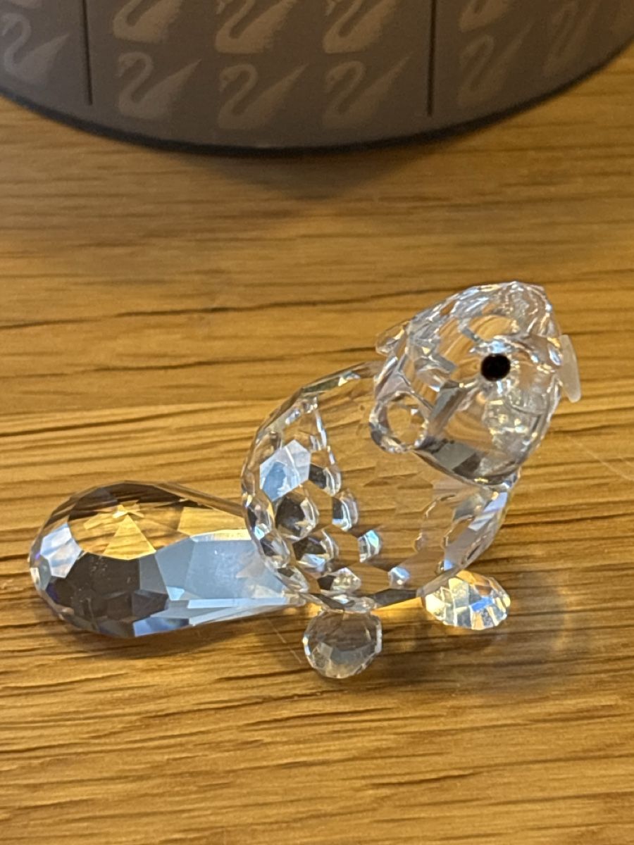 Swarovski Tutte le decorazioni: Swarovski Beaver mit Originalbox – Usato da La Plaine venduto da Spooty67 1