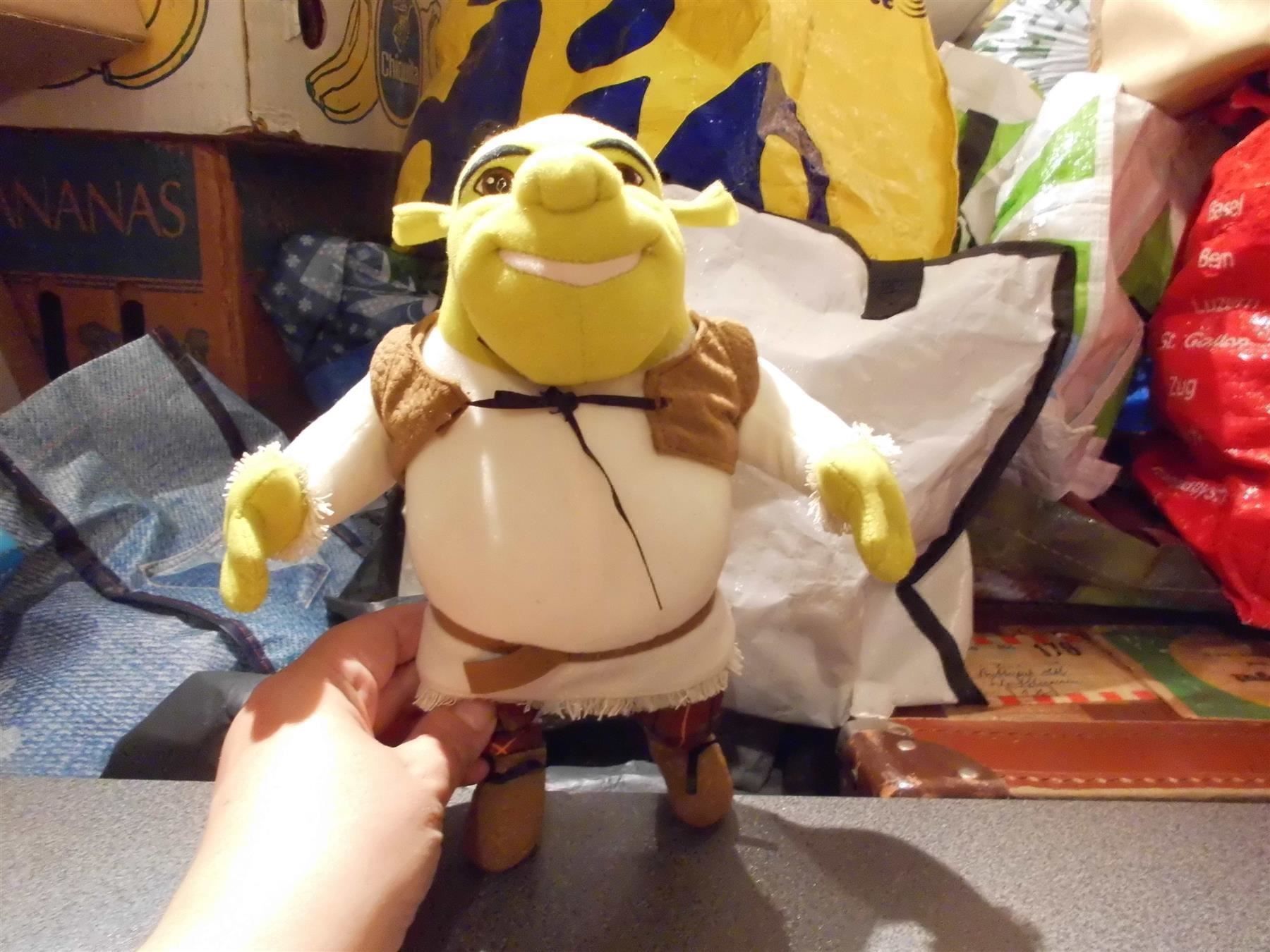 Giocattoli: Shrek, Hasbro, ca. 25 cm – Usato da Zürich venduto da abraxas1291
