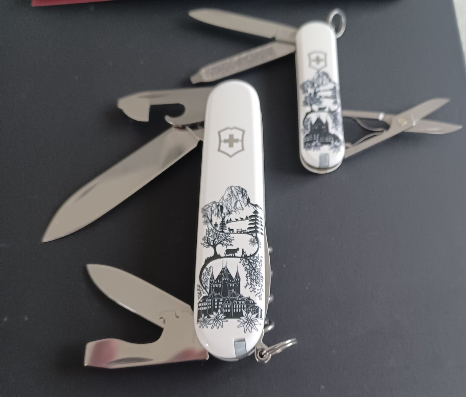 Victorinox Coltelli tascabile: Victorinox Duo Scherenschnitt Spez. Edition – Nuovo (secondo la descrizione) da Balgach venduto da VicAlox 2