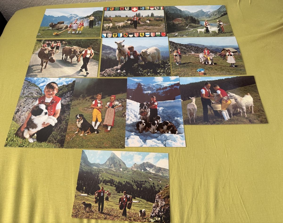 Cartoline postali: Konvolut Schweizer Ansichtskarten Berner Sennenhund Ziegen K – Nuovo (secondo la descrizione) da Libingen venduto da Wisli