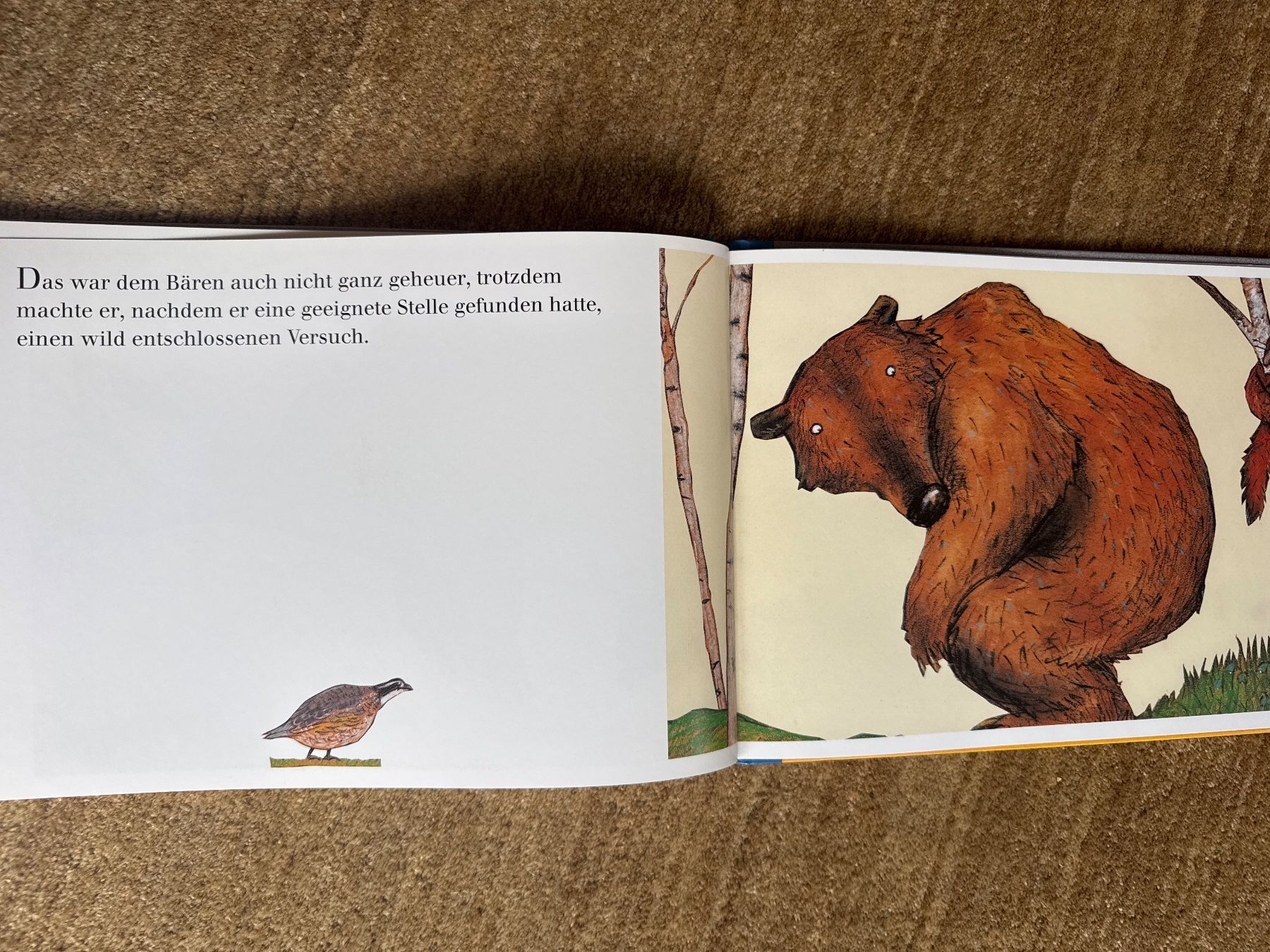Bücher: Wolf Erlbruch - Das Bãrenwunder – Gebraucht aus Aarau von Kilauea 4