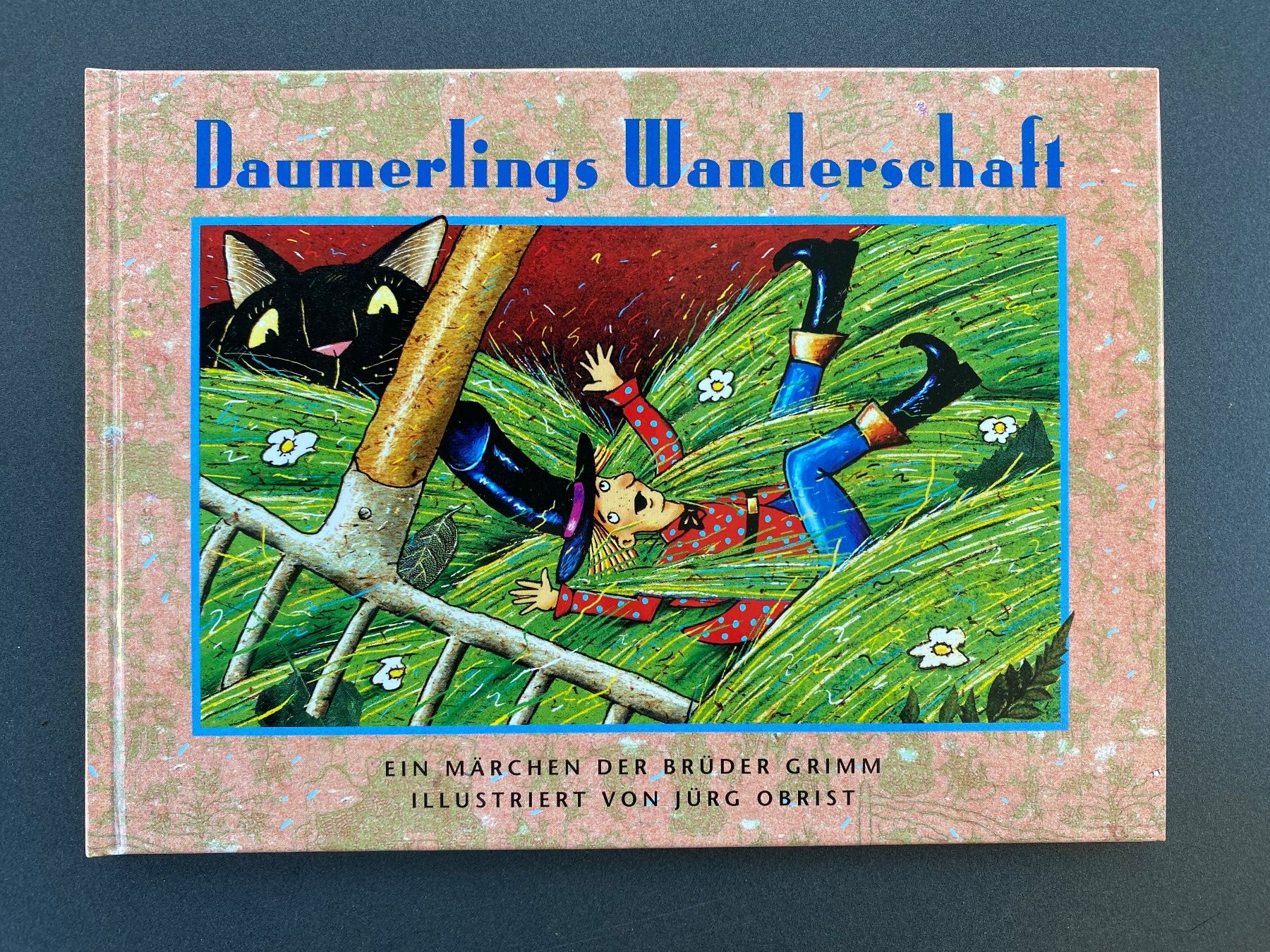 Libri: Buch DAUMERLINGS WANDERSCHAFT, Gebrüder Grimm – Nuovo (secondo la descrizione) da Dietlikon venduto da Sa_Biene