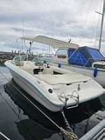 Bateau Sea Ray avec Remorque
