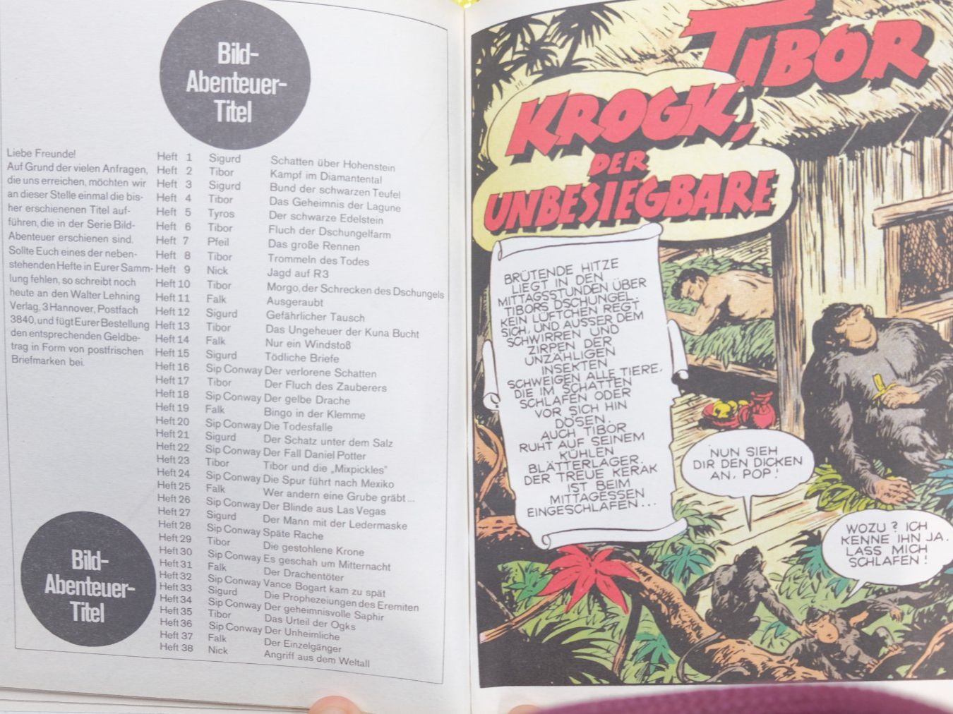 Fumetti: 12 Bild-Abenteuer Hardcover -Norbert Hethke - Comic Konvolut – Usato da Volketswil venduto da brockipfannenstil 3