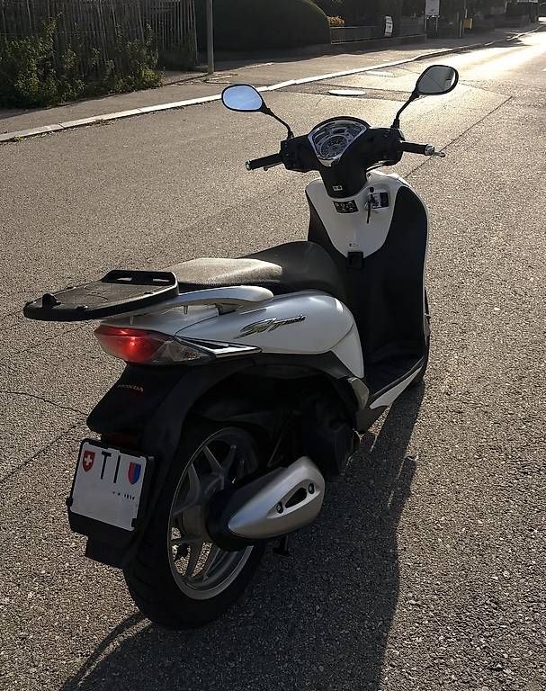Scooters: Sh 125 scooter 125 – Gebraucht aus Magliaso von cal_7gyz 4