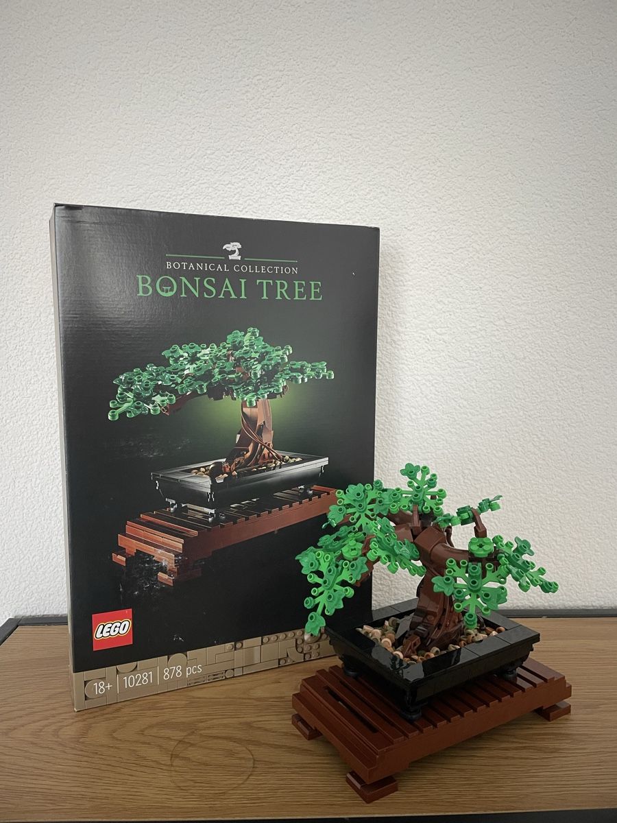 Lego Spielzeuge: LEGO Bonsai Baum 10281 – Gebraucht aus Wittenbach von Pingu03