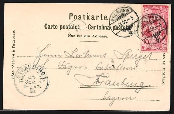 Cartoline postali: Rigi-Kulm, Panorama aus der Vogelschau – Usato da Berlin venduto da bartko-reher 1