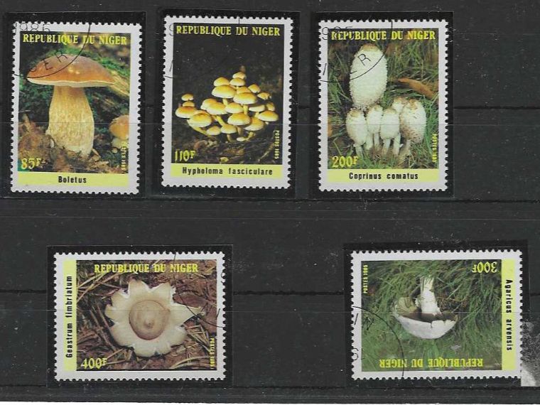 Tutti i francobolli: NIGER 1985 GEST. PILZE – Usato da Dintikon venduto da bonita099