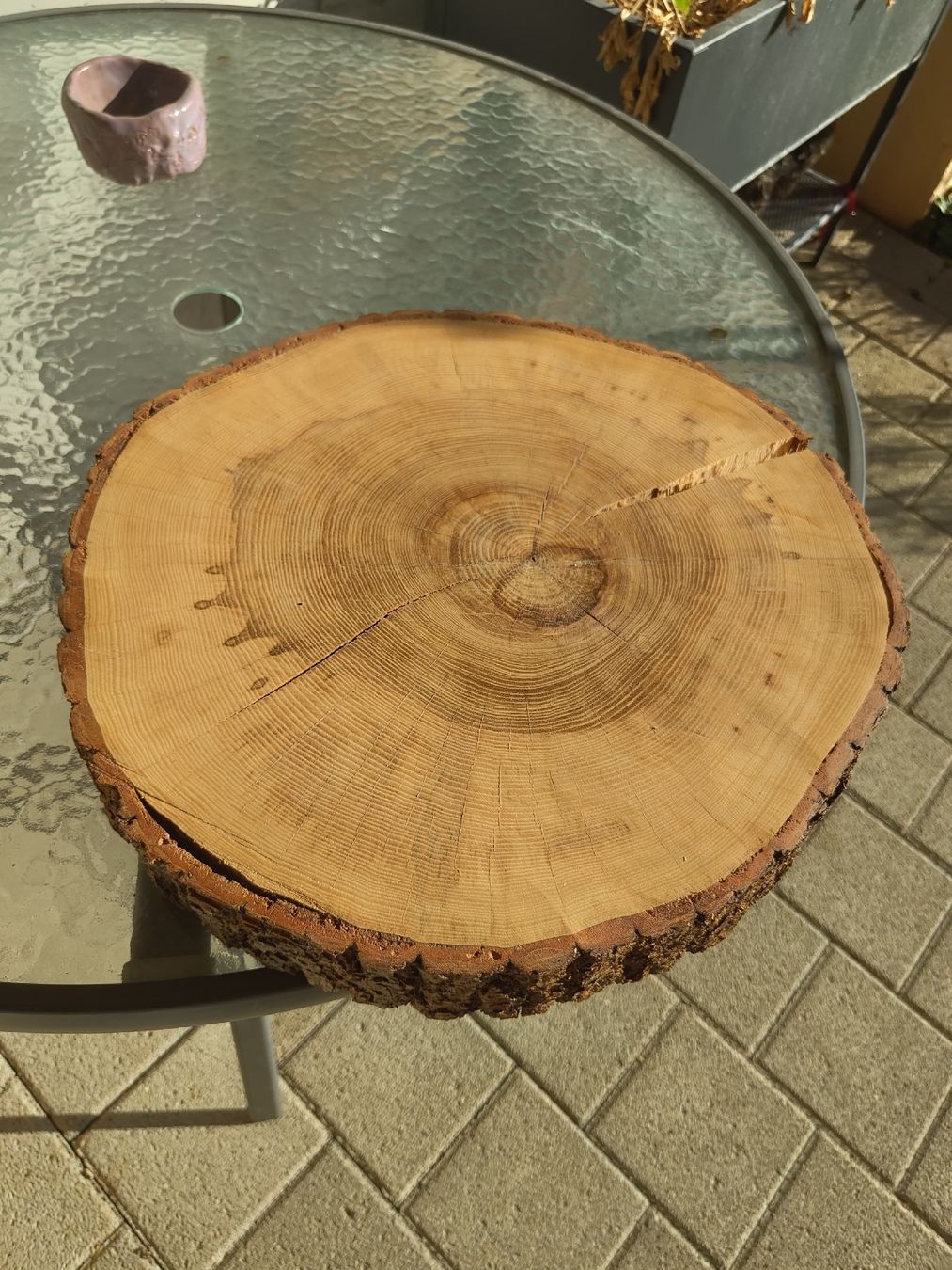 Articoli in legno: 2× Holzscheibe  – Usato da Schaffhausen venduto da jasi00jk 1