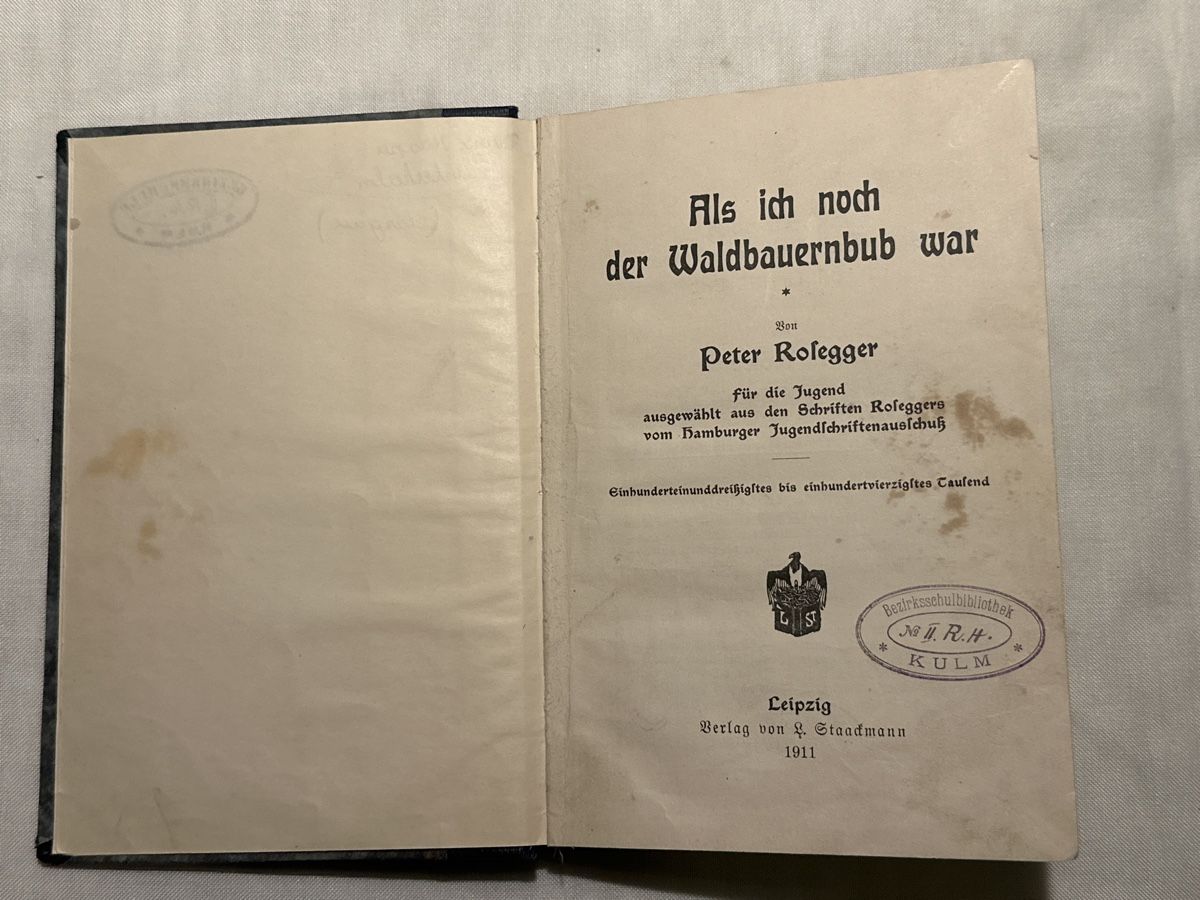 Libri: Antikes Buch "Als ich noch der Waldbaurnbub war" 1911 – Usato da Zürich venduto da Chaeffeler 1