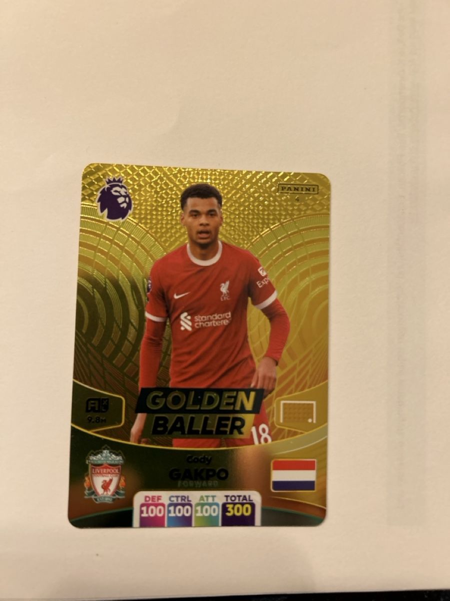 Panini Carte collezionabili: Gakpo Panini 2024 – Nuovo (secondo la descrizione) da Zug venduto da Bure0