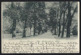 Baden-Baden Die Lichtenthaler Allee, gelaufen 1900