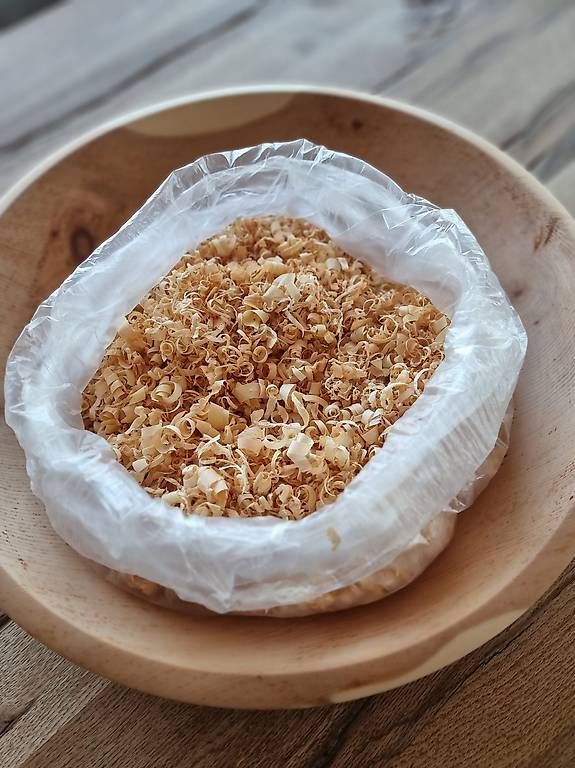 Ciotole: Riesige Obstschale Echtholz Einzelstück  – Usato da Ostermundigen venduto da d-p73 4