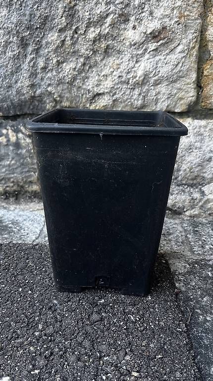 Pots de fleurs: Anzuchttöpfe – D'occasion à Breitenbach par aya_w5x7