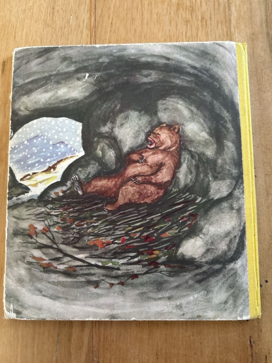 Libri: Kinderbuch Klassiker: BRUMM der braune Bär von Inga Borg – Usato da Frauenfeld venduto da aluma14 4